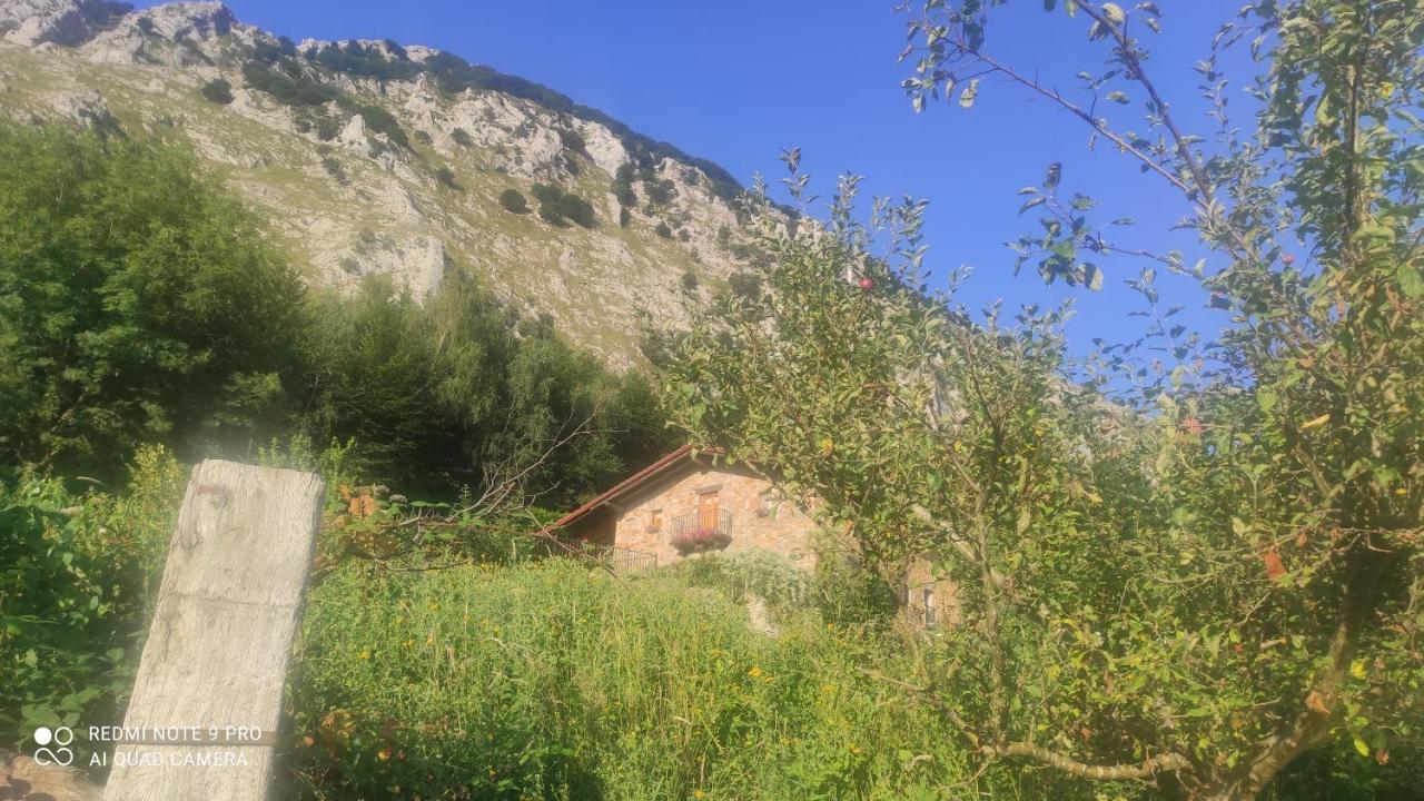 Dukebaso Villa Durango Dış mekan fotoğraf